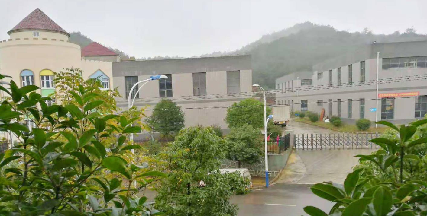 Guizhou Yi ke Electric Power