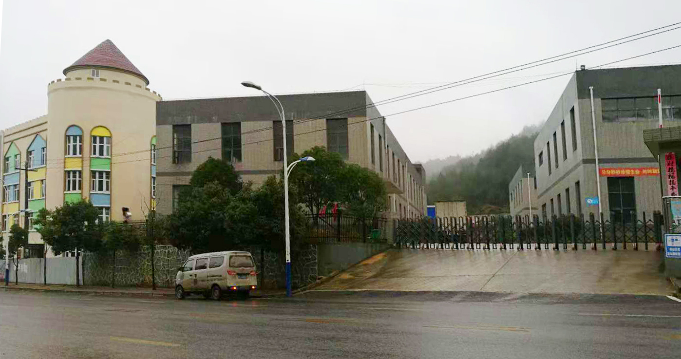 Guizhou Yi ke Electric Power